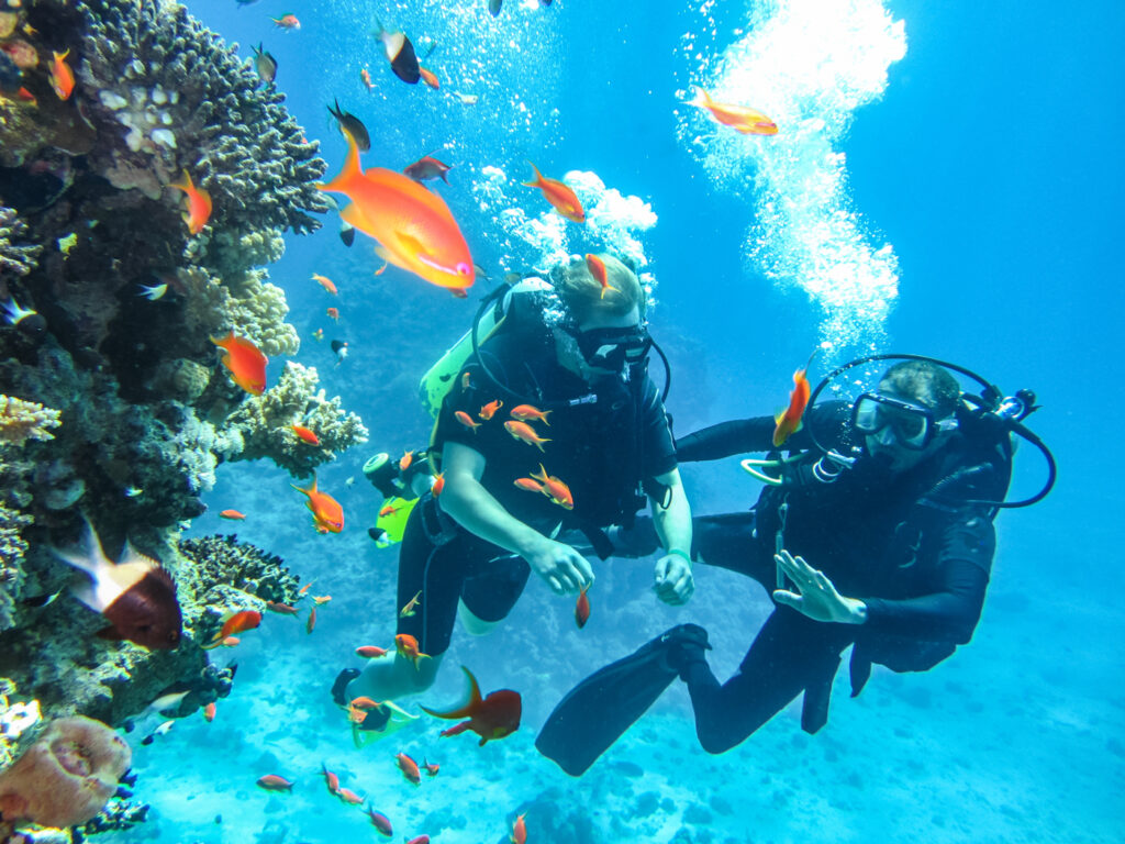 Snorkel guiado en la Costa Blanca.
