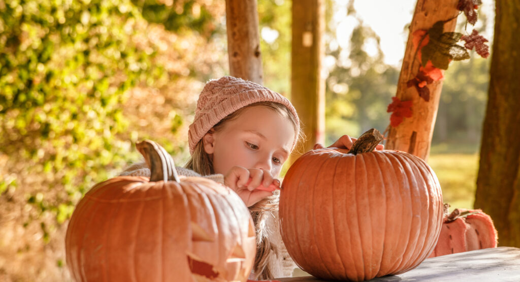 Ideas de manualidades de Halloween con los más pequeños.