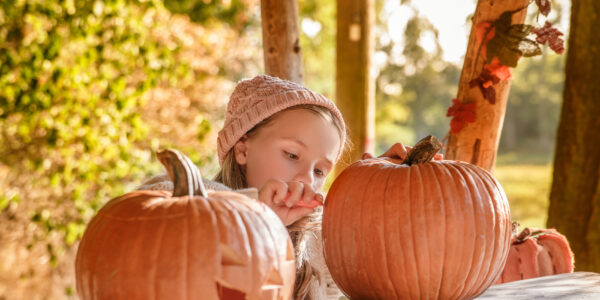 Ideas de manualidades de Halloween con los más pequeños.
