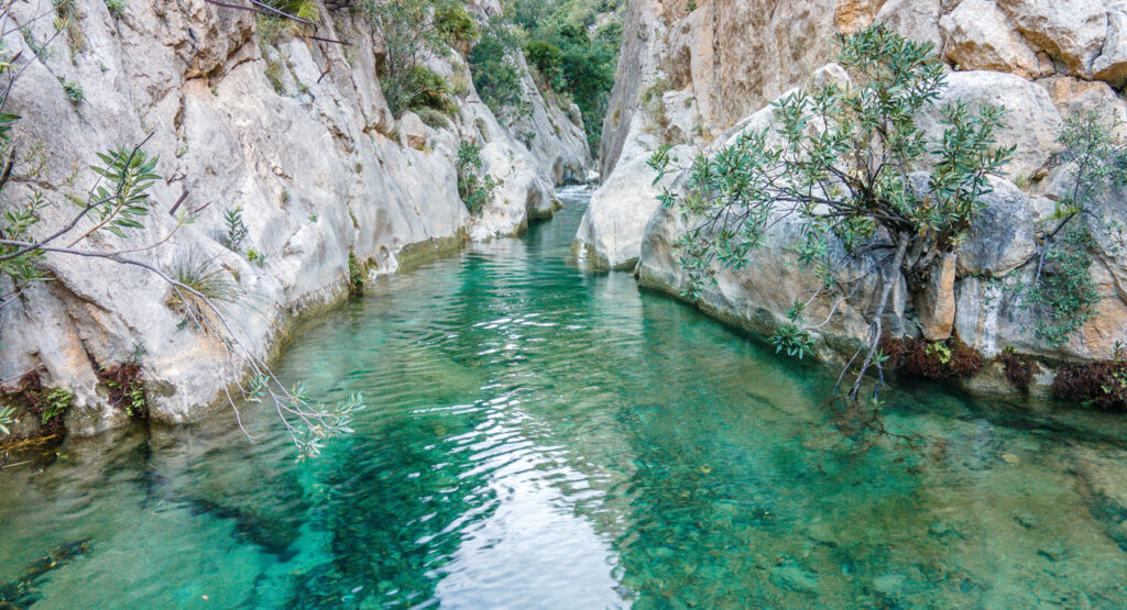Río Algar.