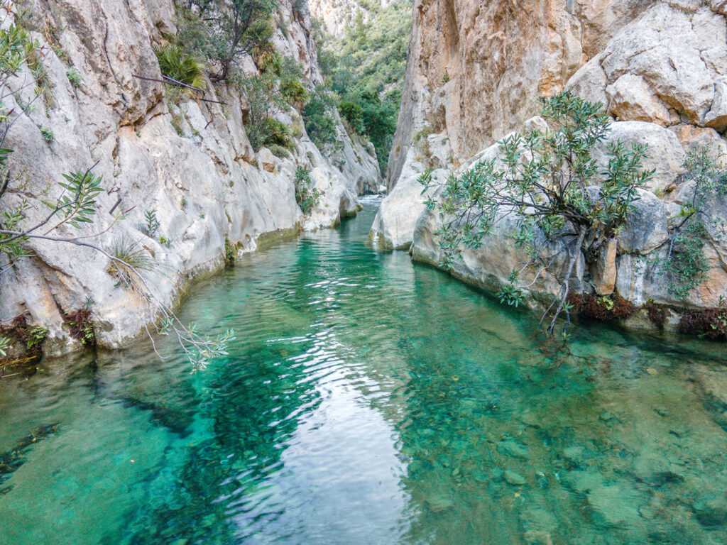 Río Algar.