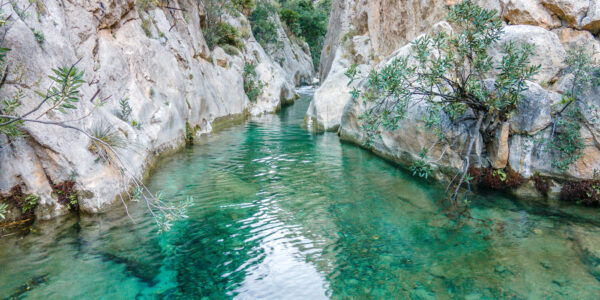 Río Algar.